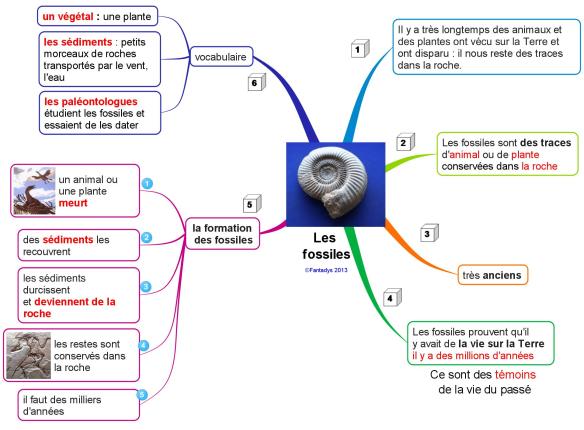 les fossiles fantadys