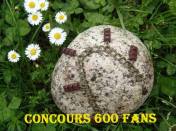 fée_puissance_dys_600fans