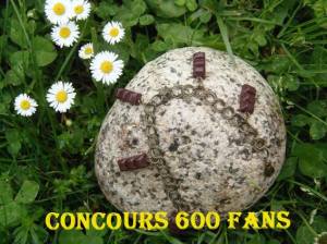 fée_puissance_dys_600fans