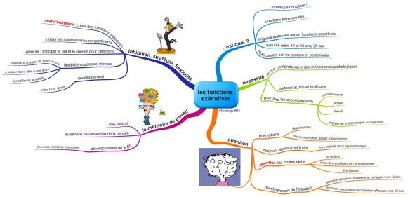 les fonctions exécutives F