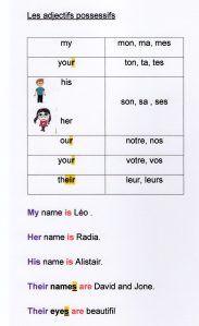 img20170114_14271611_0039